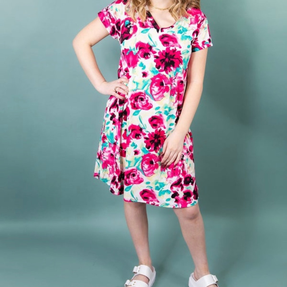 Floral Vneck mini dress. Size small. New but tags taken off.